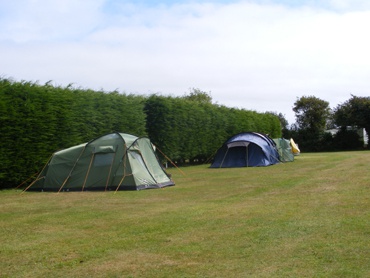 Separate level meadows for tents