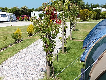 Pitches with ample space for Tents Caravans Motorhomes and RVs