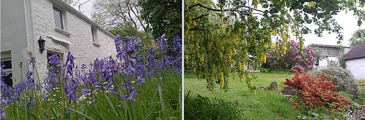 Spring garden at Aldermoor