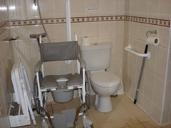 Hoist aids mobility bathroom