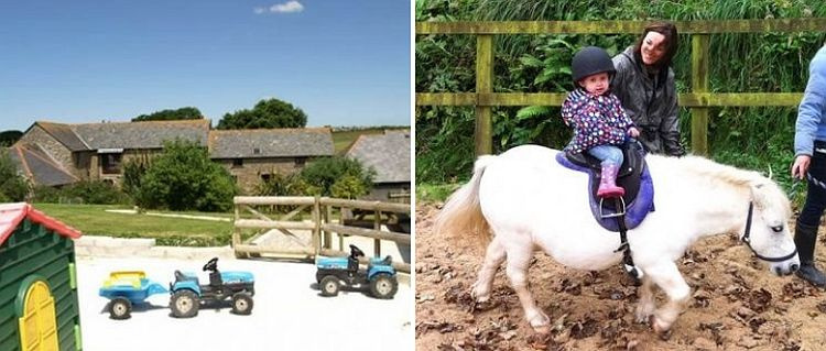 Tractor Riding Area and Pony rides