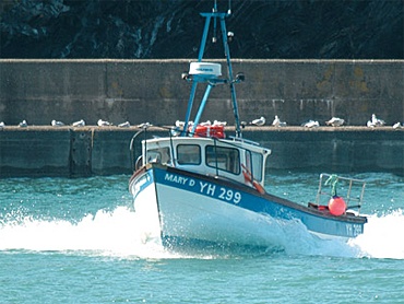 Small fishing boat leaving Port Gaverne harbour