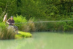 Fishing lakes at Forda Lodges