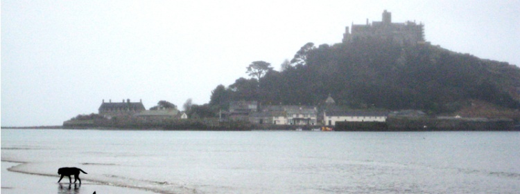 Marazion beach allows dogs in the winter months