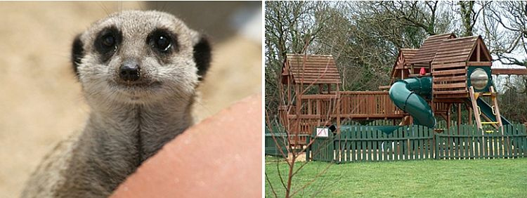 Meerkats and Play areas at Screech Owl Sanctuary