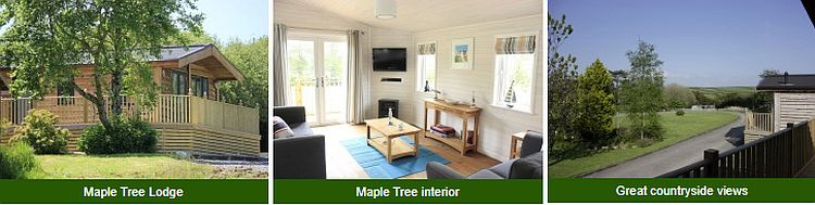 Maple Tree Lodge