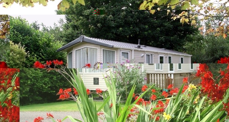 The holiday caravans at River Valley sit in a perfect hideaway