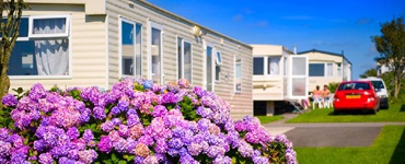 Luxury holiday caravans situated within the Park