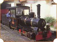 Board our fifteen-inch gauge steam train at Benny Halt and let Zebedee or Muffin take you on a two-mile return journey