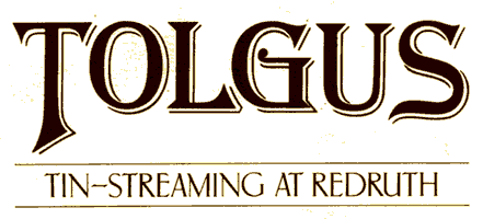 tolgus logo