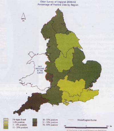map of otter distribtion in England