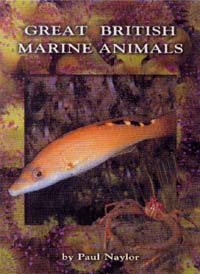 Great British Marine Animals