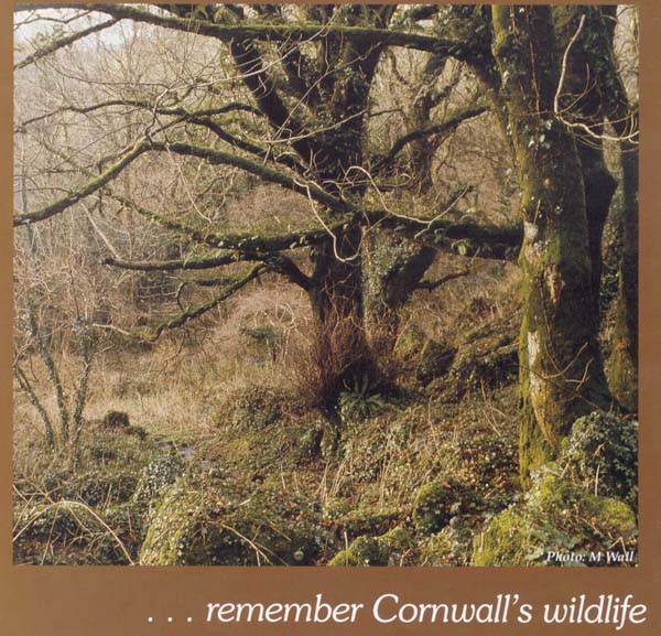 Legacies - remember Cornwall's wildlife
