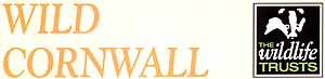 WILD CORNWALL - The Wildlife Trusts