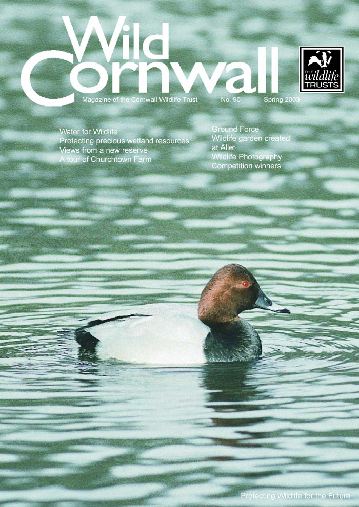 Wild Cornwall cover Spring 2003