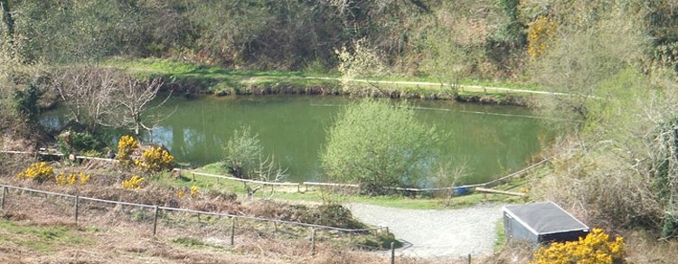 One of our 6 fishing lakes